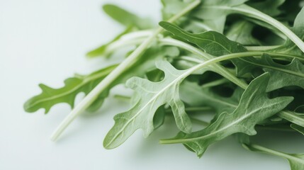 Fresh arugula leaves arranged on a light surface for culinary preparation in a kitchen setting