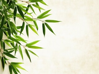 Green bamboo leaves against a light, neutral background