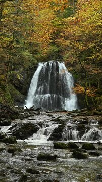 Vertical shot of a twofold waterfall in an autunm forest, colorful leaves, Josefsthaler Wasserf&auml;lle, Bavaria