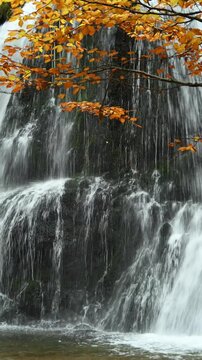 Vertical shot of a waterfall with branches of a colorful autumn tree, Josefsthaler Wasserf&auml;lle, Bavaria