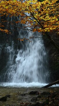 Vertical shot of a waterfall with branches of a colorful autumn tree, Josefsthaler Wasserf&auml;lle, Bavaria