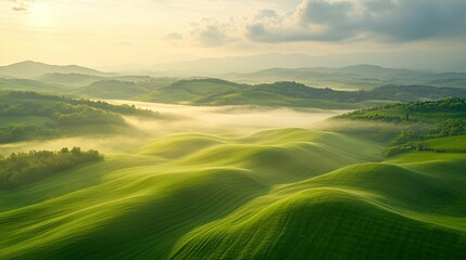 Obraz premium Rolling Green Hills and Foggy Landscape at Dawn