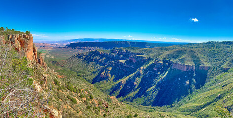 Panoramic view of Bull Canyon with Fisher Mesa, UT.