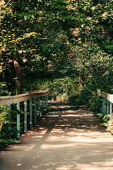 Cowles Bog Trail at Indiana Dunes National Park