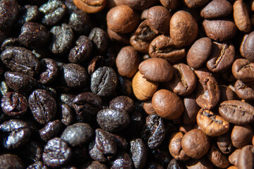 coffee beans