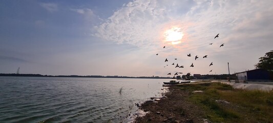 birds in the sunrise over the lake