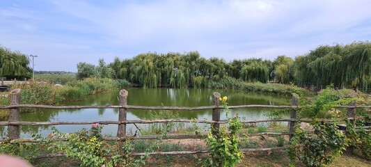 lake in the park