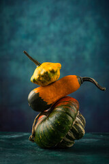 Various decorative pumpkin on green background