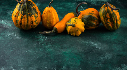 Various decorative pumpkin on green background