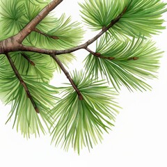 Fototapeta premium Watercolor illustration of pine branch. A cold winter woodland Christmas tree. Brushes of needles and branches are drawn by hand. Holiday decorations with fir branches for new year's celebrations.