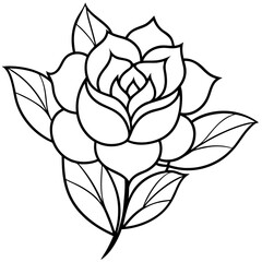 vector rose flower