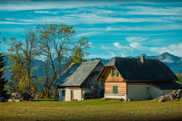 Cottages and other houses among brown and yellow trees in autumn time on a Uskovnica plateau in the heart of slovenian Julian alps.