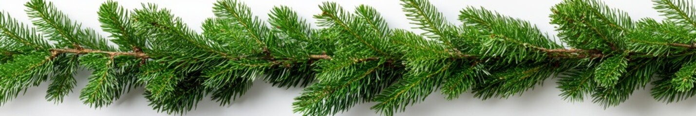 Fototapeta premium An isolated pattern of Christmas garland made of green pine twigs on a transparent background