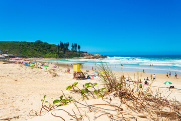vegetação das dunas e a praia da Joaquina Florianópolis Brasil