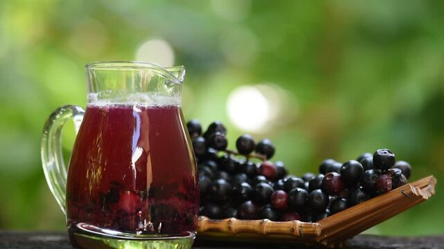 Antidesma puncticulatum Miq.,fruits and juice on natural background.