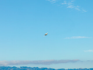 Aerial View of Airplane Over Hilly Landscape Near San Francisco