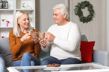 Mature couple with cocoa sitting at home on Christmas eve