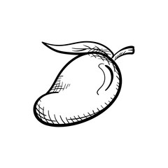 Mango Hand-Drawn Food Vector Icon