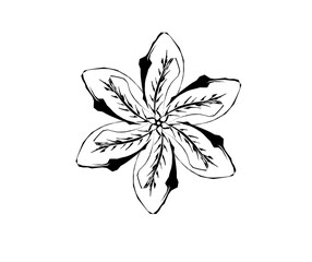 black and white flower