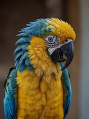 Fototapeta premium Beautiful blue and yellow macaw parrot close-up. Generated with AI.