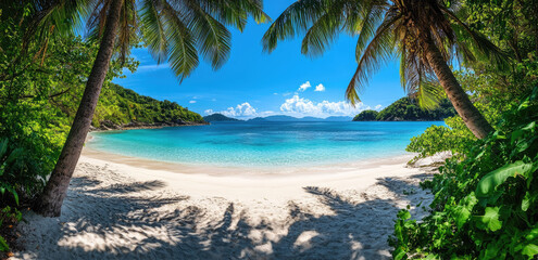 A beautiful beach with palm trees and a clear blue ocean. The beach is empty and the sky is clear