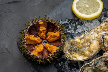 Raw oysters closed in shells on ice on black mica board and sliced lemon. High quality photo