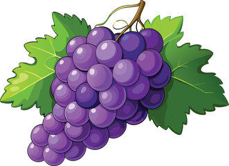 Bunch of a grapes, vector illustration 