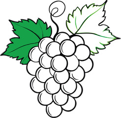 Bunch of a grapes, vector illustration 