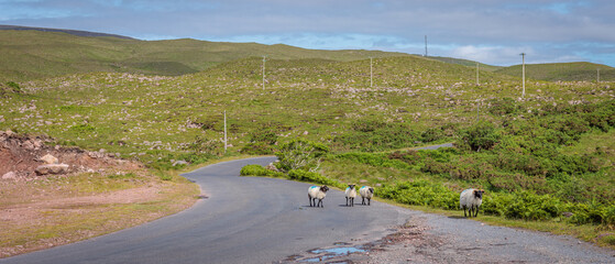 Cushlecka, Ireland - June 29 2024 