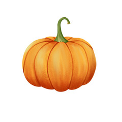 Illustration of a ripe pumpkin with a very attractive orange color on png transparant background 