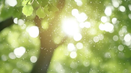 Obraz premium Spring Sunlight Through Green Tree Canopy, Fresh Foliage Illuminated by Sun, Sunshine in Forest