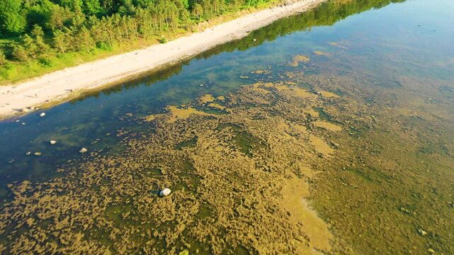 Aerial 4K video from drone to Pakri Cliff in Paldiski. Estonia, Paldiski