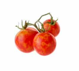 Branch with ripe tomatoes isolated on white