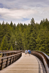 People walking on the kinsol trestle in cowichan valley, british colombia, vancouver island, canada	