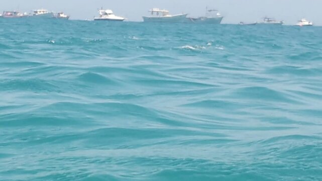 Spinner dolphin, jumping, spinning, flipping, swimming and taking breath in blue ocean surface next to the boat in a tropical sea - Fernando de Noronha, Brazil
