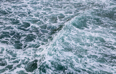 Fototapeta premium Dunedin, New Zealand