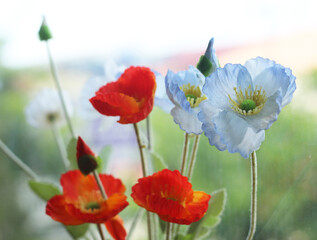 Obraz premium Flower vase and nature in the background