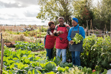 Family collecting vegetables in their urban garden to eat kilometer 0 produce