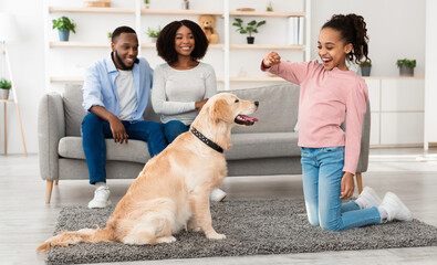 Pet Care And Love Concept. Smiling African American girl playing with dog, feeding labrador with biscuits treats, training at home in living room, mom and dad sitting on sofa, modern house interior