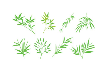 Fototapeta premium Assorted Green Foliage - Stylized Leaf Designs.