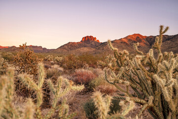 Sunset in the desert