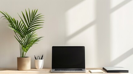 Fototapeta premium Minimalist workspace with a laptop, plant, and office supplies on a wooden desk. The white wall behind it has long shadows.