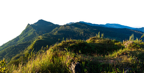 Mountain landscape rainforest isolated on transparent background. PNG File