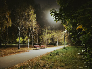 Obraz premium night in the park