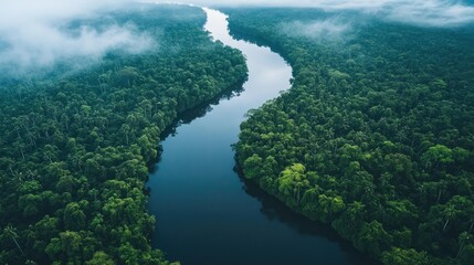 Serene Aerial View of Lush Green River Landscape