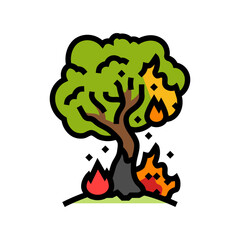 flaming tree wildfire disaster color icon vector. flaming tree wildfire disaster sign. isolated symbol illustration
