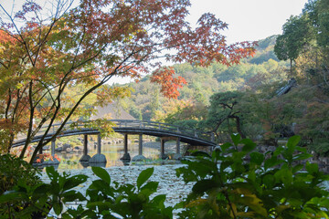 日本庭園　紅葉　景色　橋　池　秋
