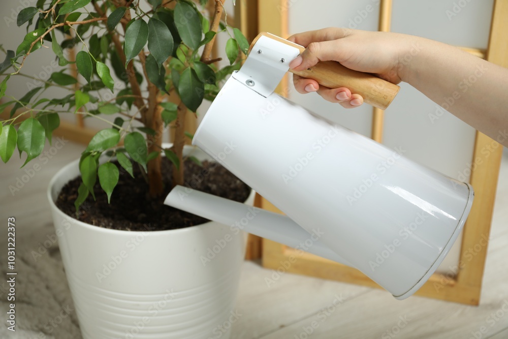 Sticker Woman holding watering can near beautiful houseplant indoors, closeup