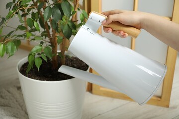 Woman holding watering can near beautiful houseplant indoors, closeup