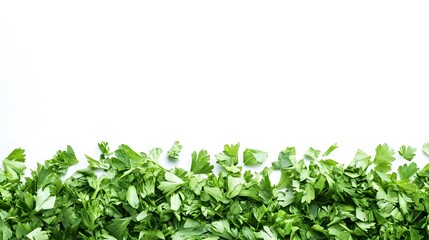 Obraz premium chopped parsley leaves isolated on white background with copy space above.